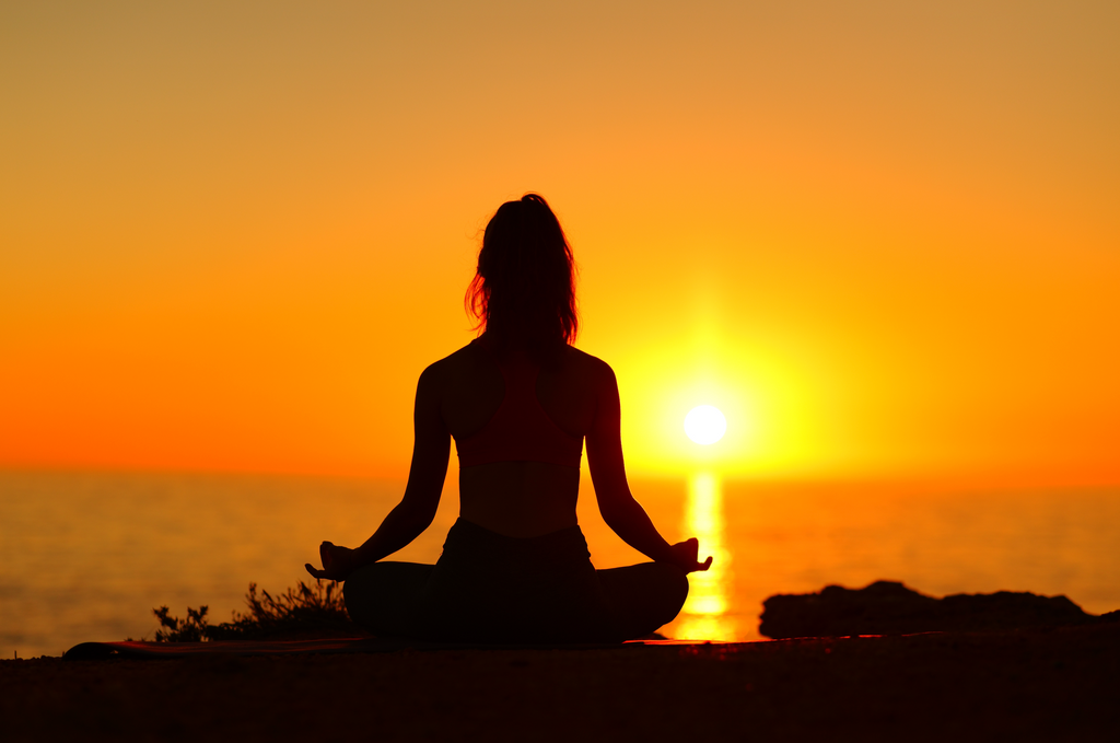 Meditation on Twin Hearts